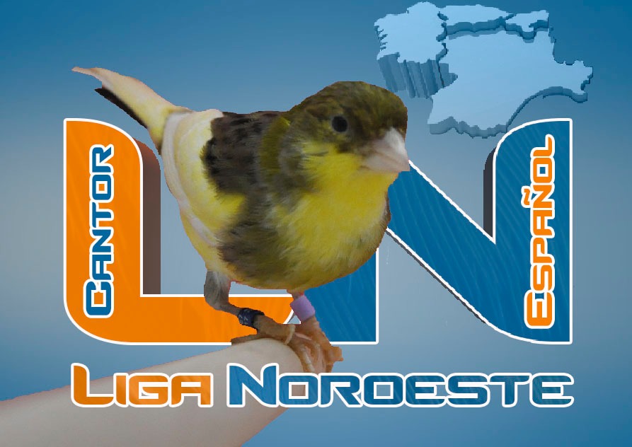 Liga Noroeste Cantor Español